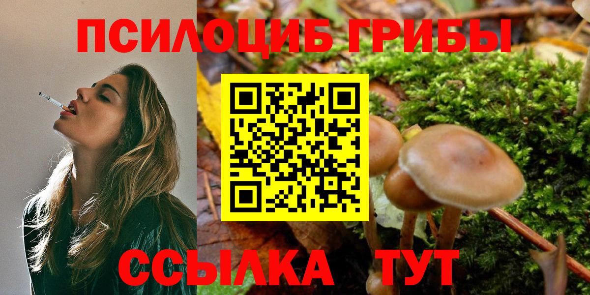 Галлюциногенные грибы мицелий Димитровград