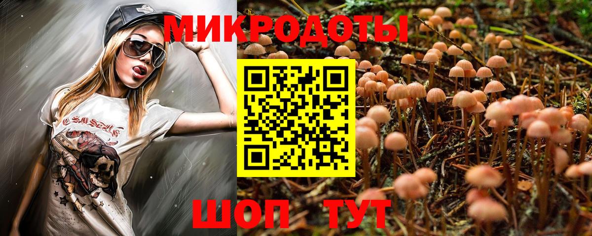 Псилоцибиновые грибы GOLDEN TEACHER  Галлюциногенные грибы Psilocybe  Вход с VPN  Димитровград 